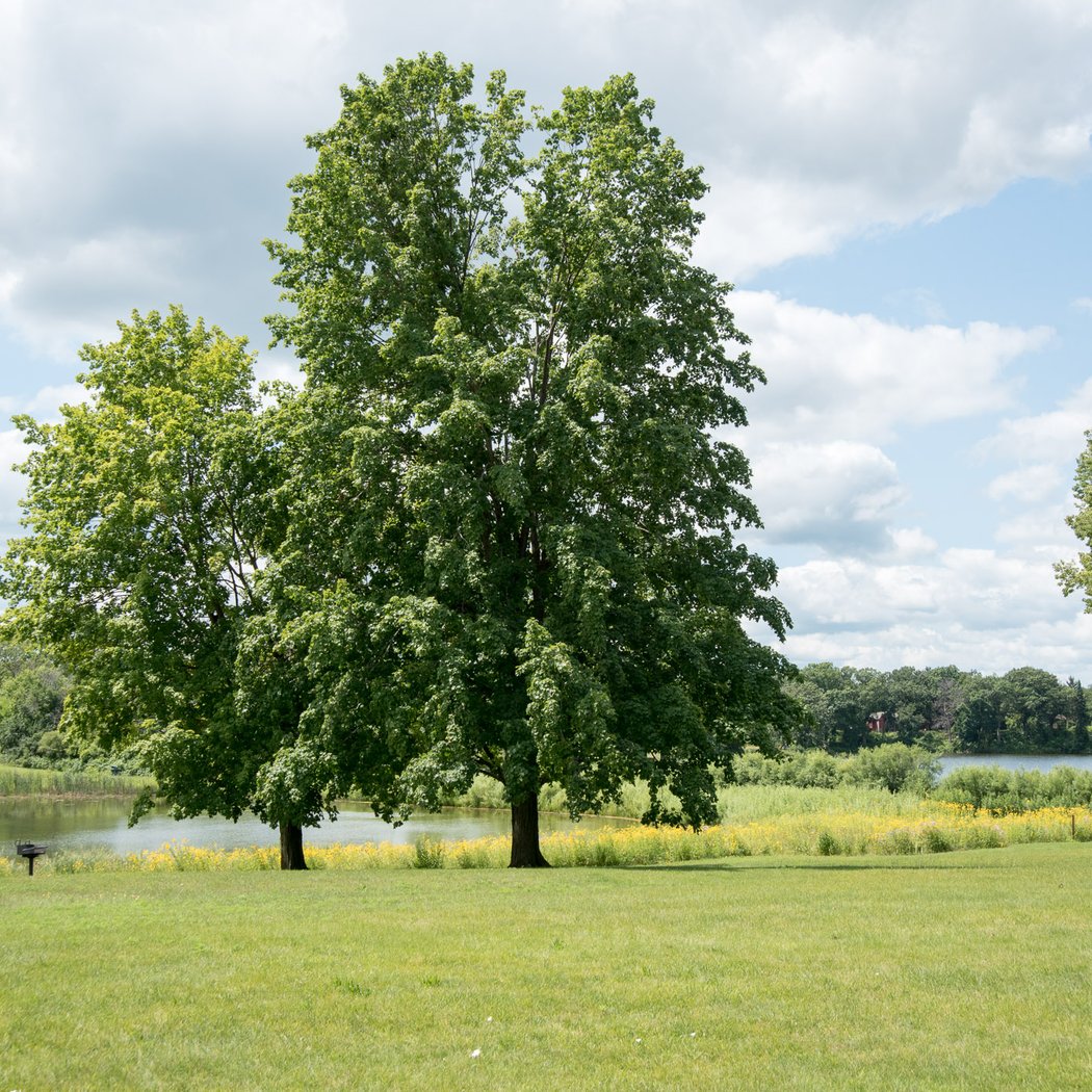 Mukwonago Park 3